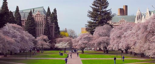 phd social work mcgill