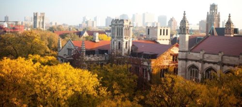 phd social work university of chicago