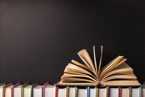 50 Best Books On Poverty Best Msw Programs
